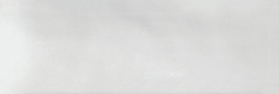 Aruba White Gloss 2x6 | Quality Carpet Inc.