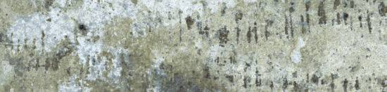 Brix 2x10 Mud | Quality Carpet Inc.
