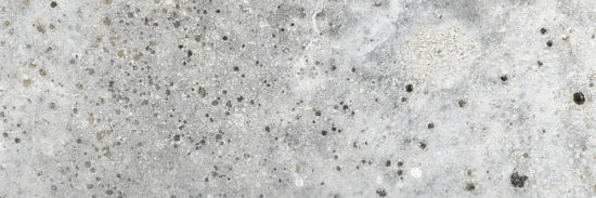 Cordoba 3x9" Cordoba | Quality Carpet Inc.