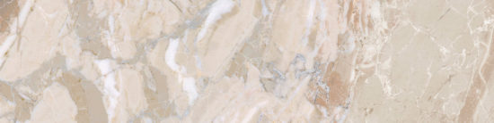 Dynasty Almond 3X12 Bullnose | Quality Carpet Inc.