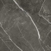 Florence 20X20F Carbon Matte | Quality Carpet Inc.