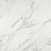 Milano Statuario Honed 24X24 | Quality Carpet Inc.