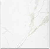 Polished Love 24X24 | Quality Carpet Inc.