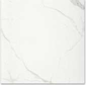 Polished Love 24X24 | Quality Carpet Inc.