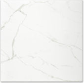 Polished Love 24X24 | Quality Carpet Inc.