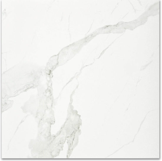 Polished Love 24X24 | Quality Carpet Inc.