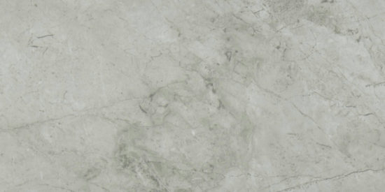 Roma Argento Polished 24X48 | Quality Carpet Inc.