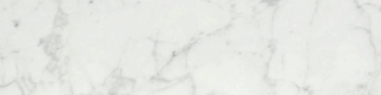 San Giulio Gioia Honed 3X12 Bullnose | Quality Carpet Inc.