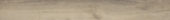 Spice 7.76"x60" | Quality Carpet Inc.