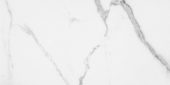 Statuario Venezia Polished 24X48 | Quality Carpet Inc.
