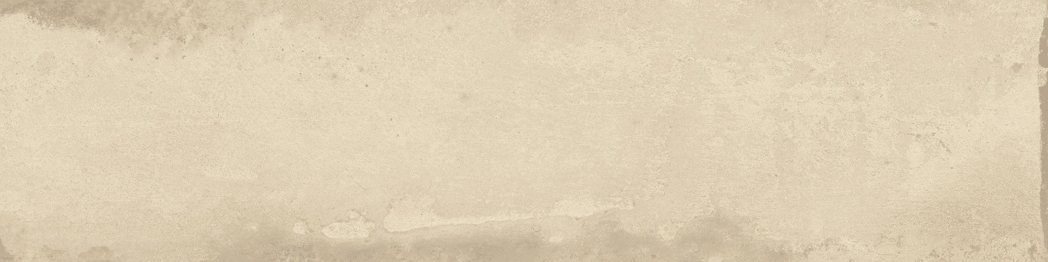 Grand Cayman East End Biscuit 3x12  Bullnose | LA TERRA STONE