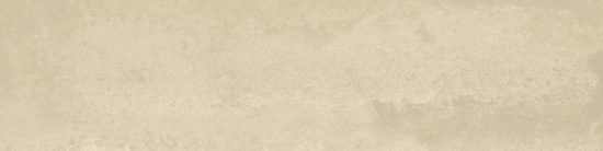 Grand Cayman East End Biscuit 3x12  Bullnose | LA TERRA STONE