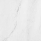 Bianco Venatino 12x12 Polished | LA TERRA STONE