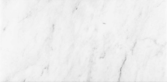 Bianco Venatino 12x24 Polished | LA TERRA STONE