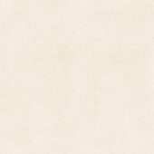 Serene Ivory 24x24 | LA TERRA STONE