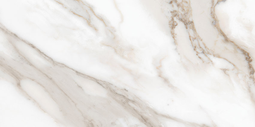 Royal Stoneworks 12X24 Calacatta Royale Honed | LA TERRA STONE