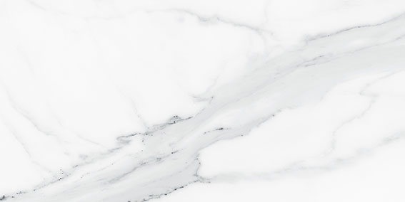 Royal Stoneworks 12X24 Grandvein White Polished | LA TERRA STONE