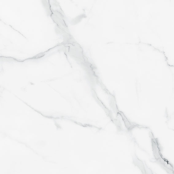 Royal Stoneworks 24X24 Grandvein White Honed | LA TERRA STONE