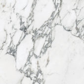 Royal Stoneworks 24X24 Italian Arabescato Polished | LA TERRA STONE