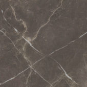 Royal Stoneworks 24X24 Regal Brown Marble Honed | LA TERRA STONE