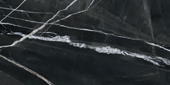 Royal Stoneworks 24X48 Regal Black Vein Polished | LA TERRA STONE