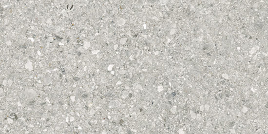 Royal Stoneworks 24X48 Regal Fossil Vein Honed