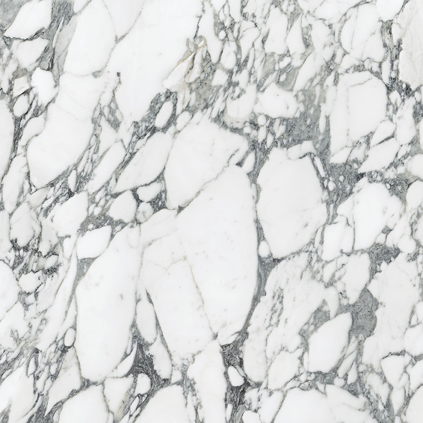 Royal Stoneworks 36X36 Italian Arabescato Honed | LA TERRA STONE