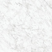 Royal Stoneworks 36X36 Old World Bianco Polished | LA TERRA STONE