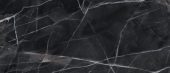 Royal Stoneworks 48X110 Regal Black Vein Polished | LA TERRA STONE