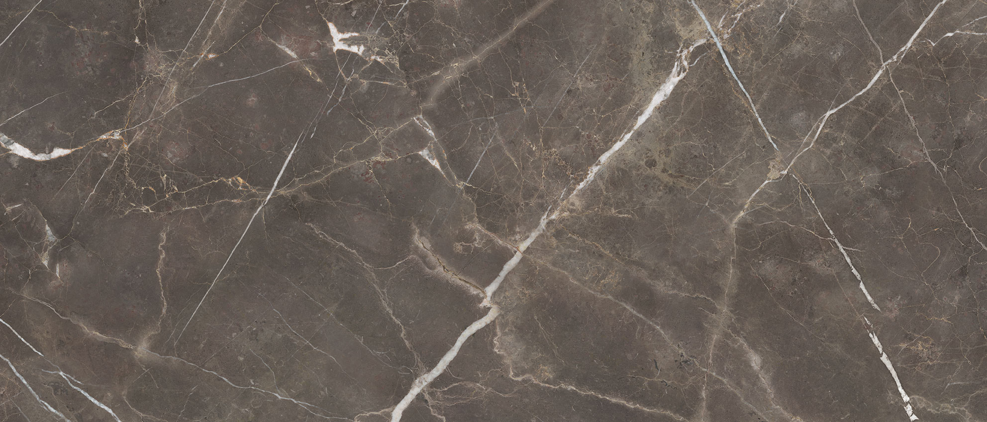 Royal Stoneworks 48X110 Regal Brown Marble Honed | LA TERRA STONE