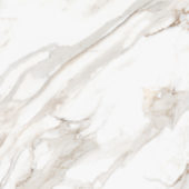 Royal Stoneworks 48X48 Calacatta Royale Honed | LA TERRA STONE