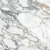 Royal Stoneworks 48X48 Italian Arabescato Honed | LA TERRA STONE