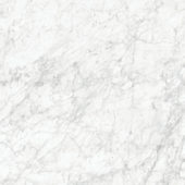 Royal Stoneworks 48X48 Old World Bianco Polished | LA TERRA STONE