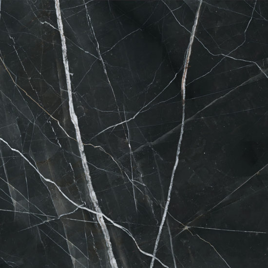 Royal Stoneworks 48X48 Regal Black Vein Honed | LA TERRA STONE