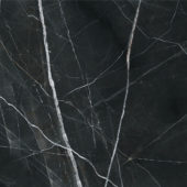 Royal Stoneworks 48X48 Regal Black Vein Polished | LA TERRA STONE