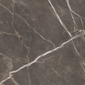 Royal Stoneworks 48X48 Regal Brown Marble Polished | LA TERRA STONE