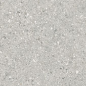 Royal Stoneworks 48X48 Regal Fossil Vein Honed | LA TERRA STONE
