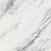 Royal Stoneworks 48X48 Regal White Vein Honed | LA TERRA STONE