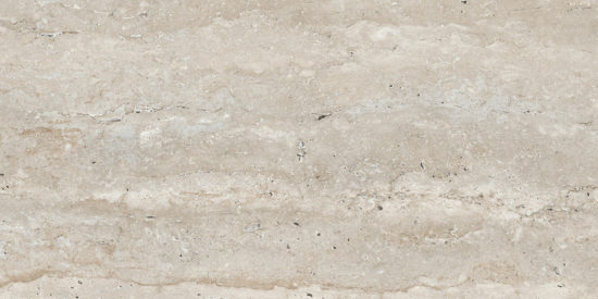 Saturnia 12x24 Silver Matte | LA TERRA STONE