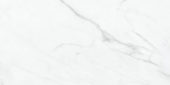 Altezza 12x24 Carrara | LA TERRA STONE