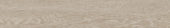 Aspen 6x36 Paper Birch | LA TERRA STONE