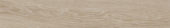 Aspen 6x36 Paper Birch | LA TERRA STONE