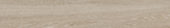 Aspen 8x48 Paper Birch | LA TERRA STONE