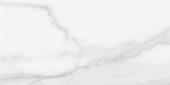 Plata 12x24 Statuario Brina Polished | LA TERRA STONE