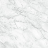 Plata 24x24 Carrara Abisso Polished | LA TERRA STONE