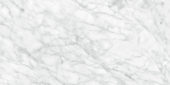 Plata 24x48 Carrara Abisso Matte | LA TERRA STONE