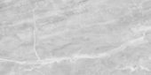 Plata 24x48 Perla Grigia Polished | LA TERRA STONE