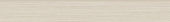 Zera Annex 3x24 Oyster Bullnose | LA TERRA STONE